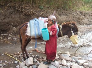 Gunnel - diverse 033